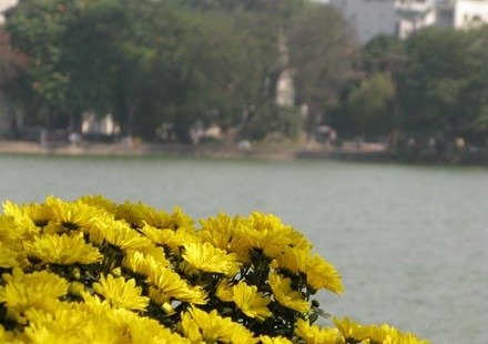 Hà Nội: Mặc áo hoa cho bờ hồ lịch sử
